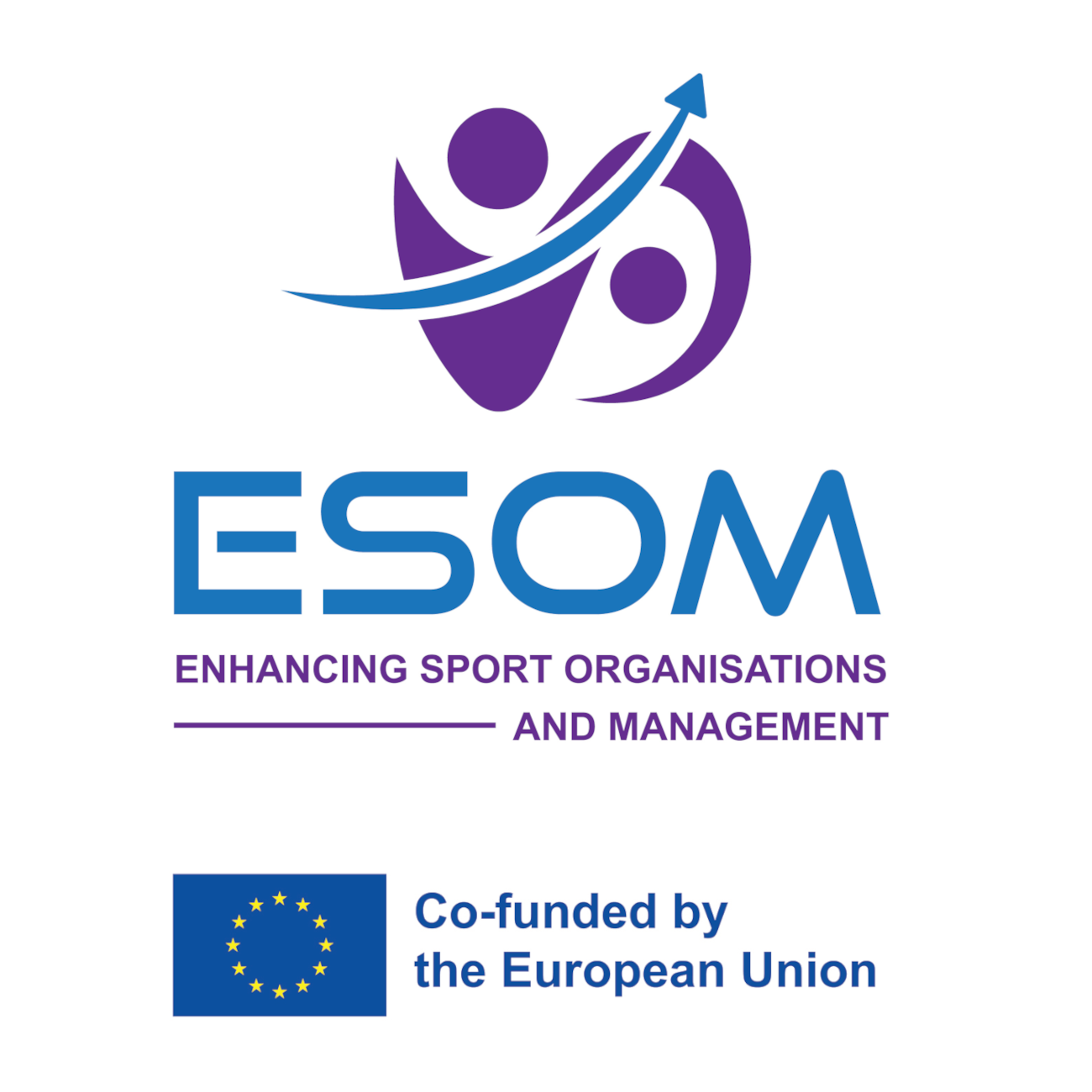 Enhancing Sport Organisations and Management